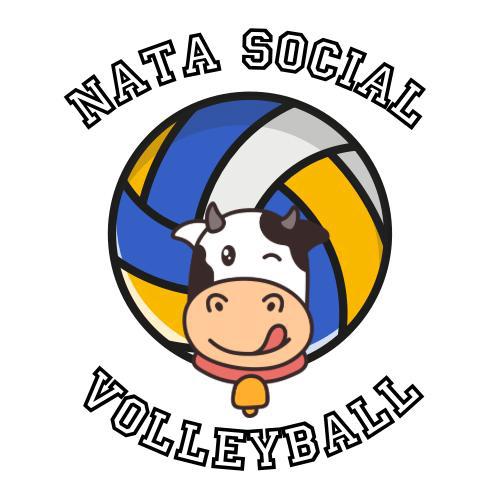 Nata logo